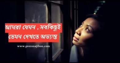 We see everything as we are - Preronajibon