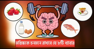 Eight Foods For Active Brain