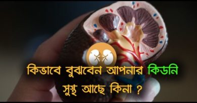 কিডনির রোগ সুরক্ষার উপায়