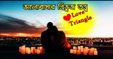 Love Triangle Explain