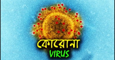 Novel Corona Virus 2019