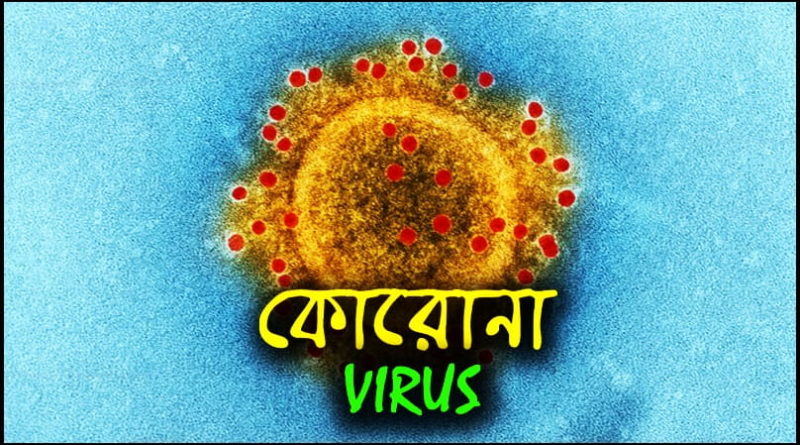 Novel Corona Virus 2019