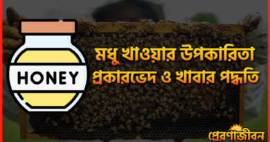 মধু খাওয়ার উপকারিতা । প্রকারভেদ ও খাবার পদ্ধতি