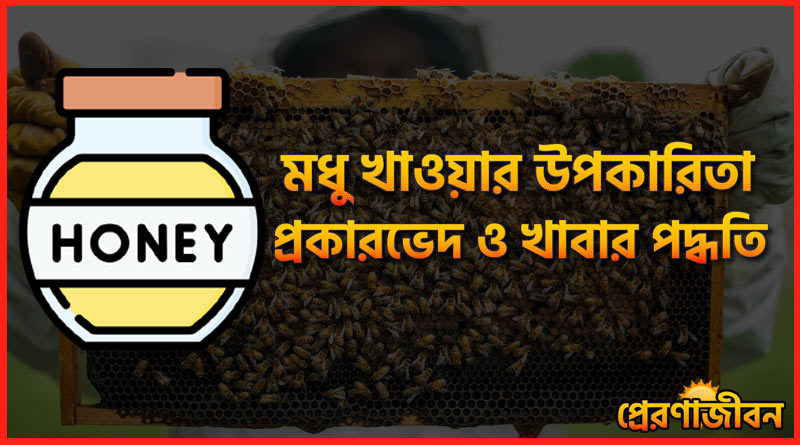 মধু খাওয়ার উপকারিতা । প্রকারভেদ ও খাবার পদ্ধতি